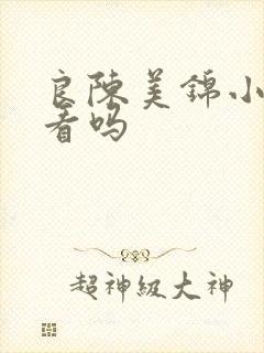 良陈美锦小说好看吗