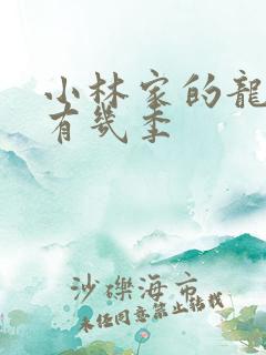 小林家的龙女仆有几季