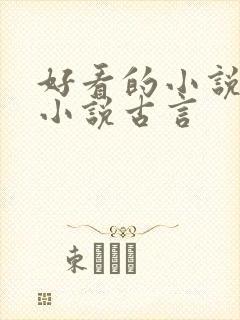 好看的小说言情小说古言