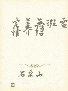 完美无瑕电影剧情介绍