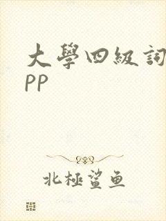 大学四级词汇app