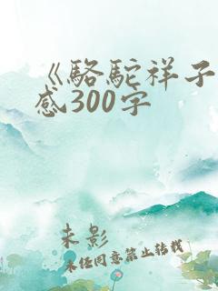 《骆驼祥子》有感300字