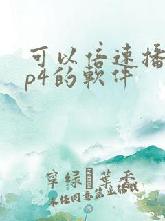 可以倍速播放mp4的软件