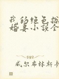 我的绝色总裁未婚妻小说全文阅读