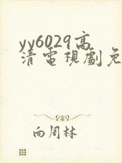 yy6029高清电视剧免费观看