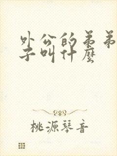 外公的弟弟的儿子叫什么