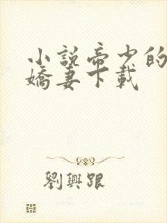 小说帝少的独宠娇妻下载