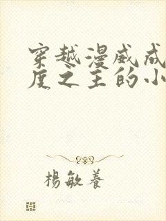 穿越漫威成为维度之主的小说