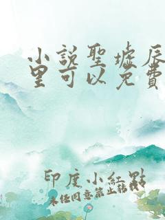 小说圣墟辰东哪里可以免费阅读