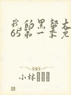 我的黑帮大佬365第一季免费观看