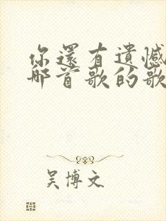 你还有遗憾吗是哪首歌的歌词