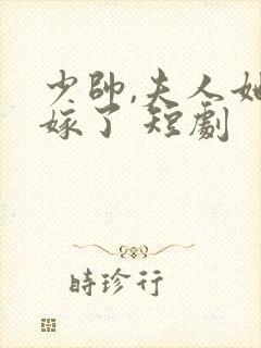 少帅,夫人她改嫁了 短剧