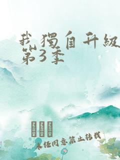 我独自升级动漫第3季