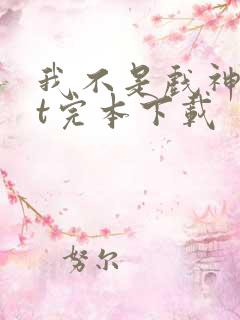 我不是戏神txt完本下载