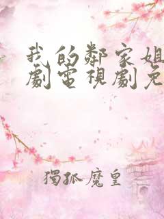 我的邻家姐姐韩剧电视剧免费观看