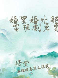 婚里婚外那些事 电视剧免费观看