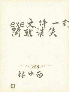 exe文件一打开就消失