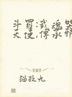 斗罗:武魂哭泣天使,传承邪恶神王