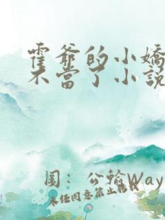 霍爷的小娇妻我不当了小说阅读全文