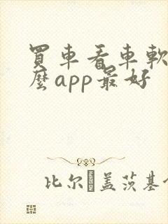 买车看车软件什么app最好