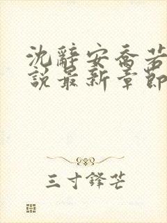 沈辞安乔若兮小说最新章节