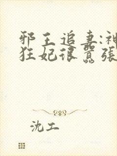 邪王追妻:神医狂妃很嚣张