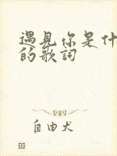 遇见你是什么歌的歌词