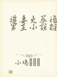 追妻火葬场的双男主小说推荐