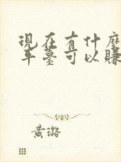 现在有什么聊天平台可以赚钱