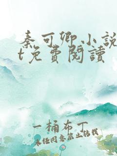 秦可卿小说txt免费阅读