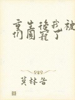 重生后我被大佬们团宠了