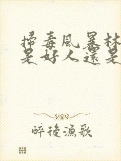 扫毒风暴林强峰是好人还是坏人