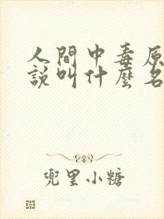 人间中毒原著小说叫什么名字