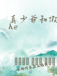真少爷和假少爷he