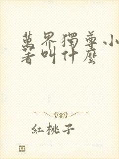 万界独尊小说原著叫什么