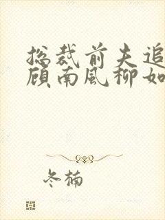 总裁前夫追妻火顾南风柳如音