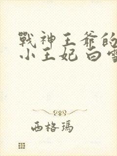 战神王爷的调皮小王妃 白雪灵小说