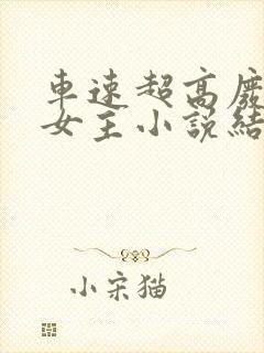 车速超高废文男女主小说结局