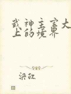 武神主宰大帝之上的境界