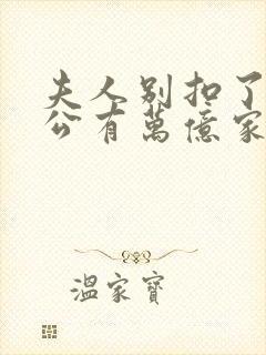 夫人别扣了你老公有万亿家产免费观看全集