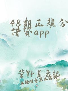 48期正规分期借贷app