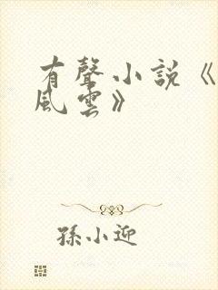 有声小说《官路风云》