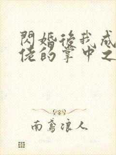 闪婚后我成了大佬的掌中之物免费版