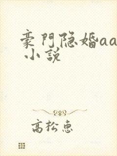 豪门隐婚aa制 小说