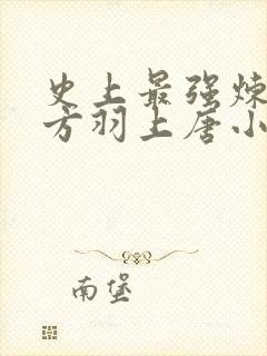 史上最强炼气期方羽上唐小柔