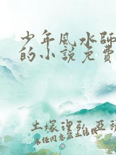 少年风水师吴铮的小说免费阅读