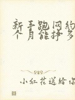 新手跑网约车一个月能挣多少钱