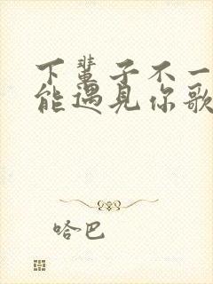 下辈子不一定还能遇见你歌词