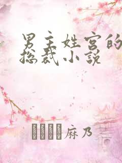 男主姓宫的现代总裁小说