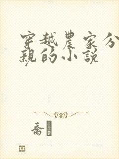 穿越农家分家断亲的小说